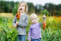 enfants légumes jardin alimentation carottes