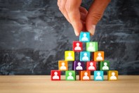 Management hiérarchie