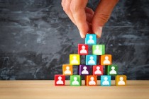 Management hiérarchie