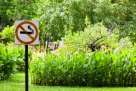 Cigarette parcs1