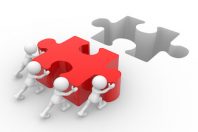 insertion emploi puzzle