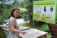 compost
