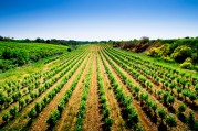 Agriculture-bio