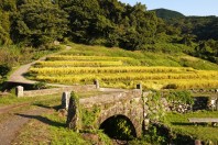 patrimoine