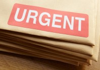 Simplification : que contient le « méga-décret » pour les collectivités ?