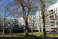 Arras IREV