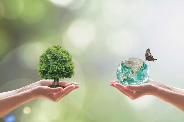 Green world and Tree of life growing in clean environment on volunteer's hand for sustainable ecology concept. Element of this image furnished by NASA