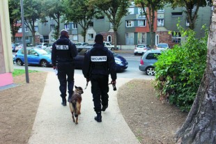 sécurité hlm