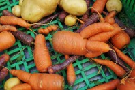 Légumes