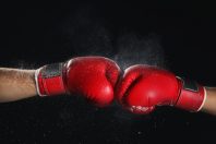BOXE PIED POING