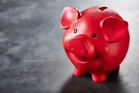 Colorful bright red piggy bank on slate