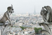 NotreDame-LiliGraphie-Adobe Stock-UNE