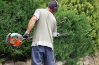 Jardinier taillant une haie  # 32