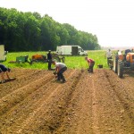 ferme-envol
