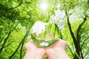 développement durable