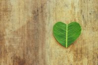 santé développement durable