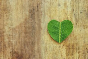 santé développement durable