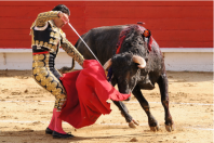 tauromachie