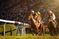jockey