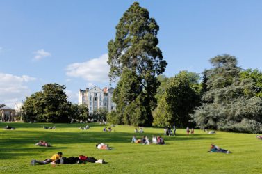 Le Parc du Thabor en été.