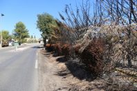 Feu De Rognac Aout 2016