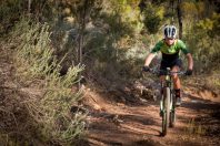 VTT