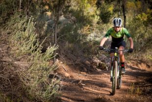 VTT