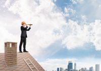 Observation à la longue-vue