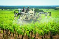 traitement chimique dans les vignes