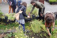 agri urbaine2