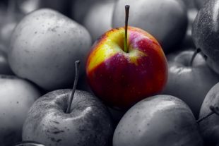 différenciation