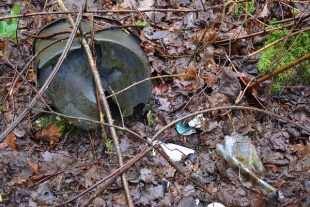 Sol_2pollué_mais_Castor_fiber_Ardennes_9902