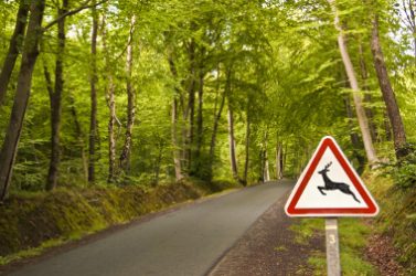 AdobeStock_26141719