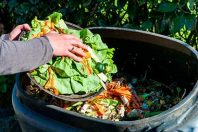 Développement durable tri des déchets