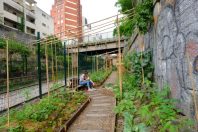 À Paris, la Recyclerie s’est installée dans une ancienne gare de la petite ceinture dans
le XVIIIe arrondissement et a
introduit près de 1 000 m2 de nature dont un des potagers collectif et pédagogique, des
ruches, un poulailler et du compostage.