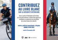 livre blanc