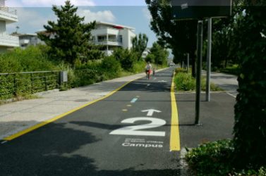 Aménagements de pistes cyclables : un cercle vertueux pour l'environnement