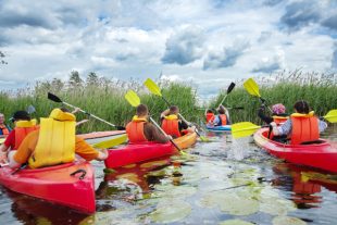 kayak