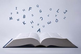 Le vocabulaire du sport