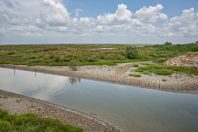 ’agriculture est le premier poste de
consommation de la ressource en eau : 45 %
en moyenne, et jusqu’à 80 % pendant l’été.