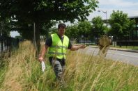 Chasse aux Papillon Service espaces Verts_017
