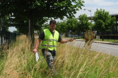 Chasse aux Papillon Service espaces Verts_017