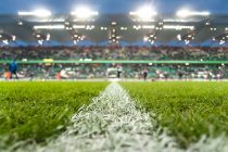 Terrains de grands jeux vers l’interdiction des pesticides
