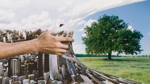 wp-content/uploads/2020/02/adobestock-300995775-640x360.jpeg