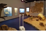 awabot-mueume-histoire-naturelle-autun-MHNA