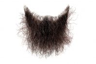 Une barbe en bataille