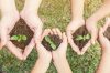 Enfants_projets_jeunes_pousses
