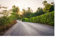 Winding country pathway with sunrise or sunset. The street is bu