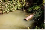 Plastic pipe to drain the pond