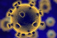 virus